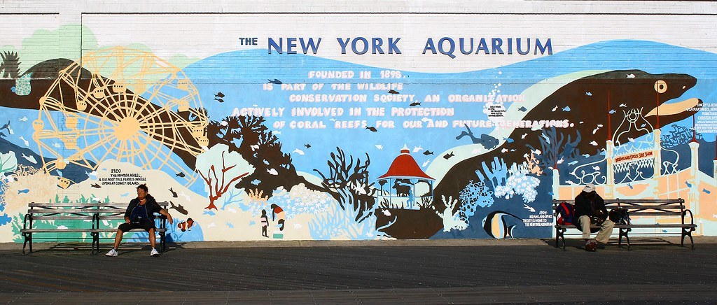 Eight shot at Coney Island fireworks