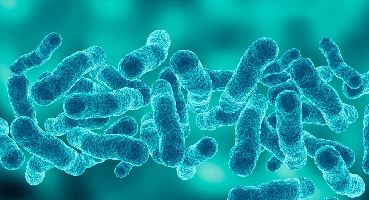 The Upper East Side Legionnaires' cluster claims a second life