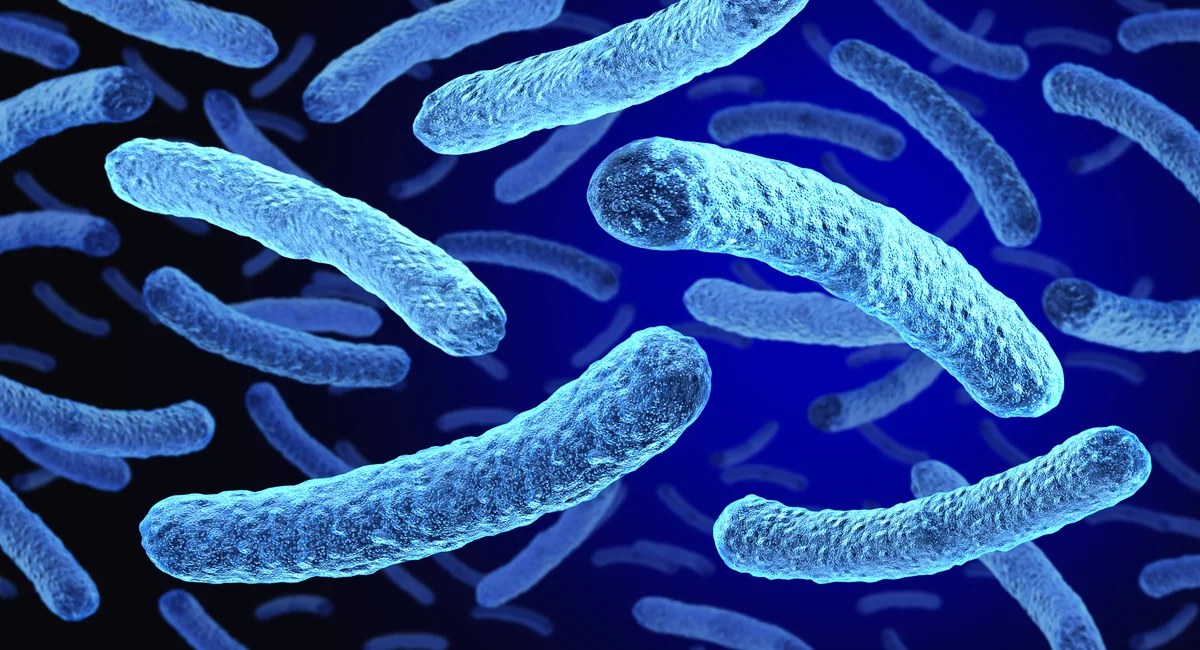 The Upper East Side Legionnaires' outbreak claims a fourth life