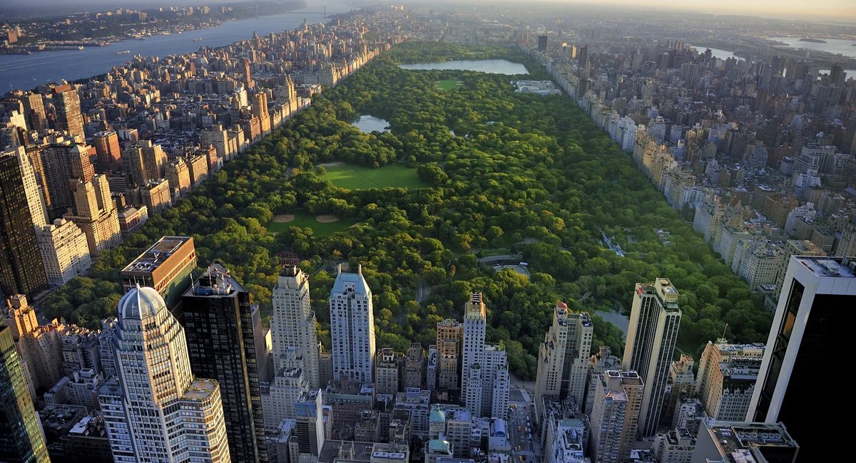 Only in New York
