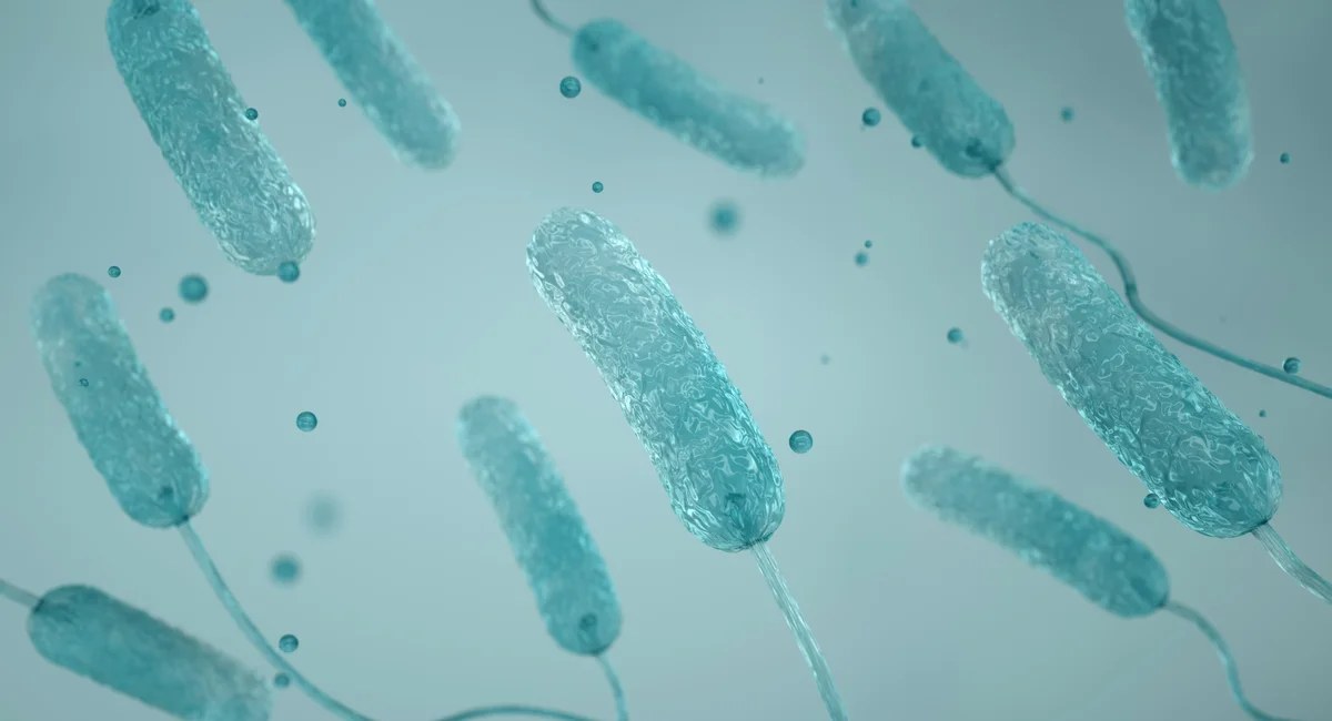 The Upper East Side's seventh Legionnaires' death, and the East Village's unequal wait