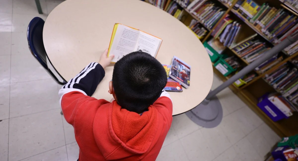 Reading scores erase a year of gains