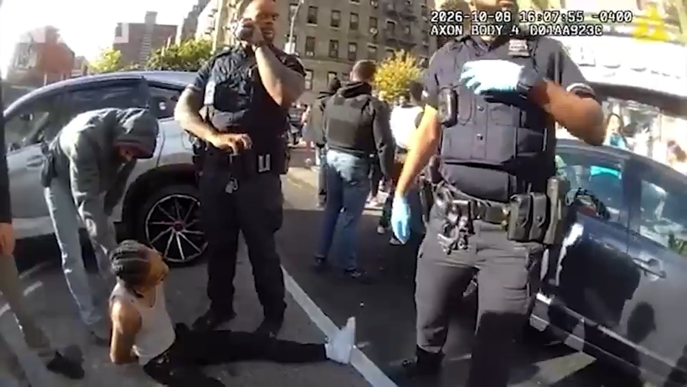 ICE's Marble Hill shooting